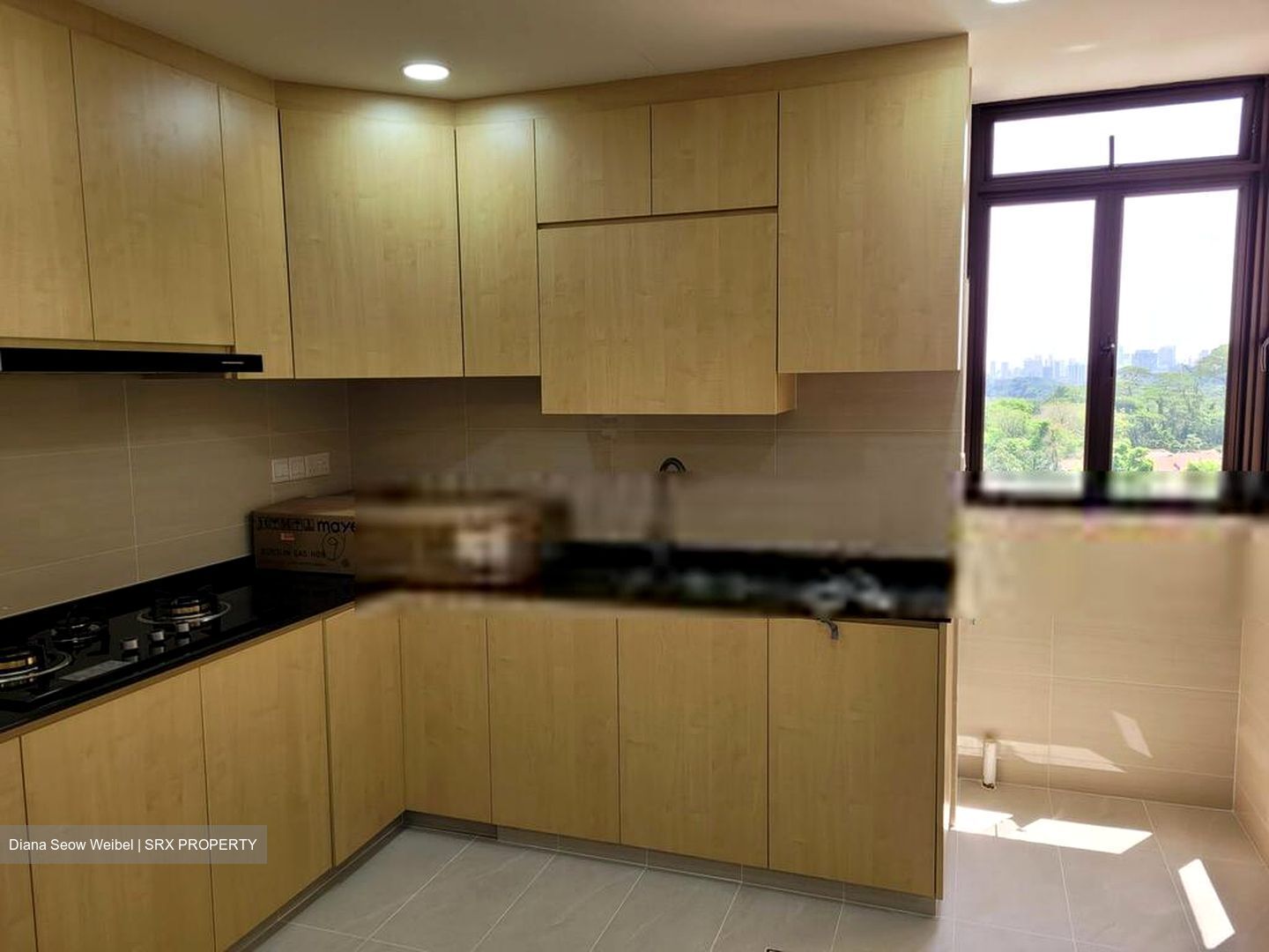 Sommerville Park (D10), Condominium #565620821